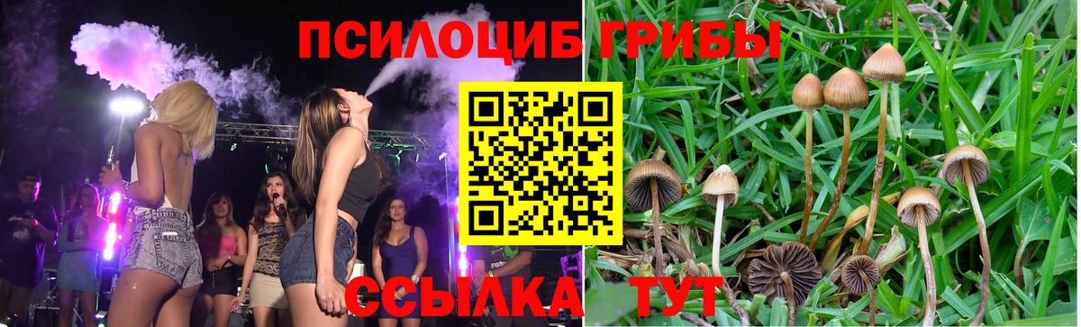 Псков  Псилоцибиновые грибы Psilocybe  Галлюциногенные грибы Psilocybe  Вход с VPN 