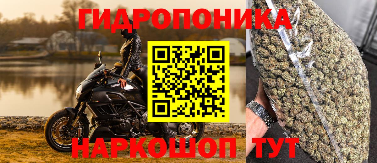 МАРИХУАНА SATIVA & INDICA Псков